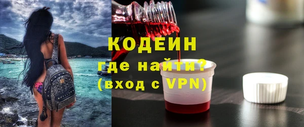 индика Арсеньев