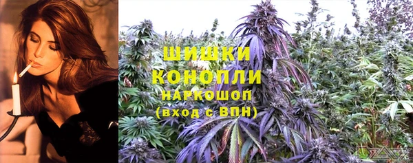 гидропоника Покачи