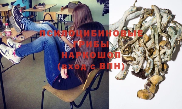 винт Пестово