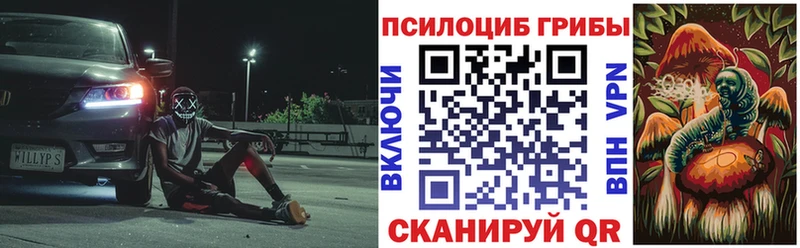 kraken зеркало  Бокситогорск  Псилоцибиновые грибы мицелий 